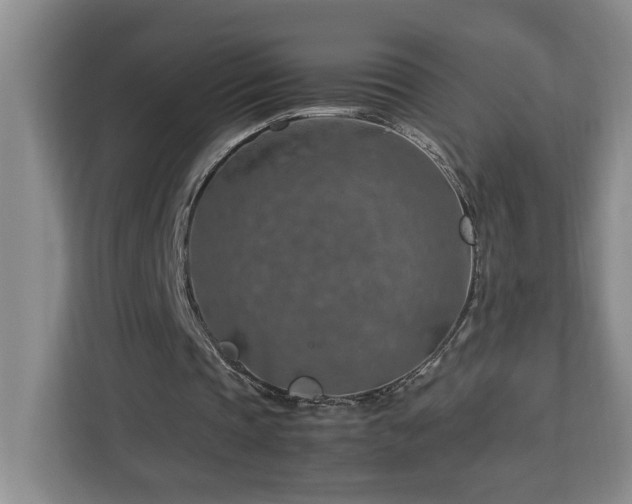 X0000112950337200908311514