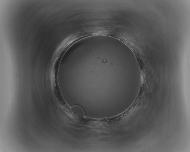 X0000112950339200908311514