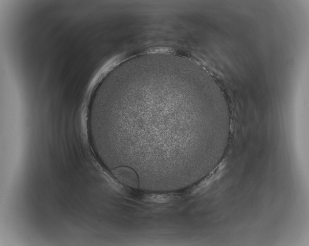 X0000112950341200908311514