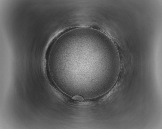 X0000112950342200908311514