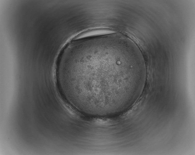 X0000112950346200908311514