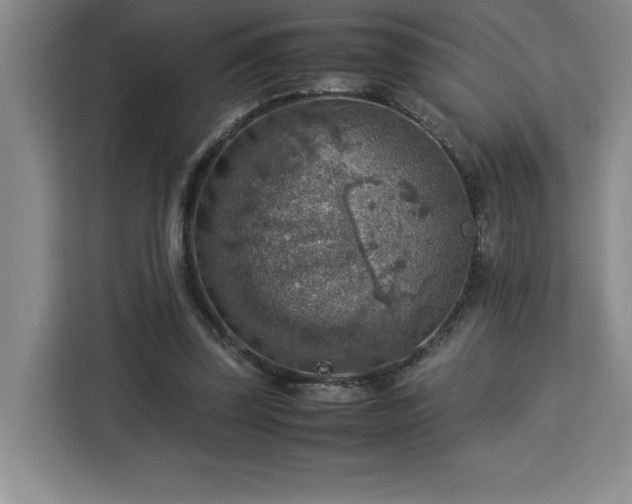 X0000112950347200908311514