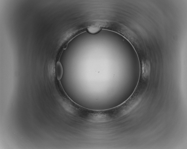 X0000112950348200908311514