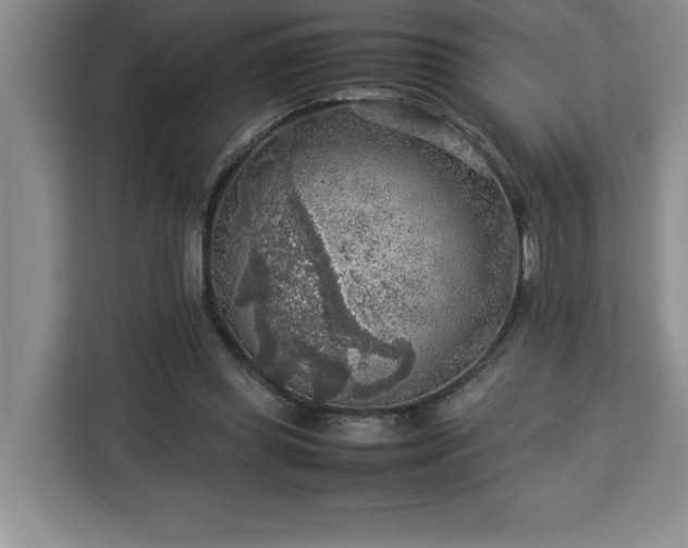 X0000112950349200908311514