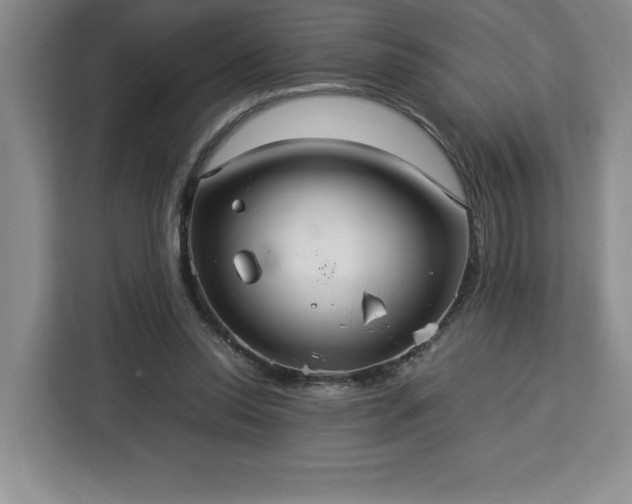 X0000112950350200908311514