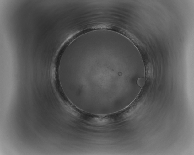 X0000112950351200908311514