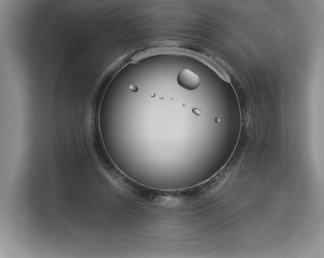 X0000112950352200908311514