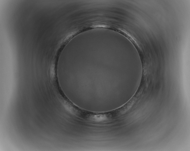 X0000112950353200908311514