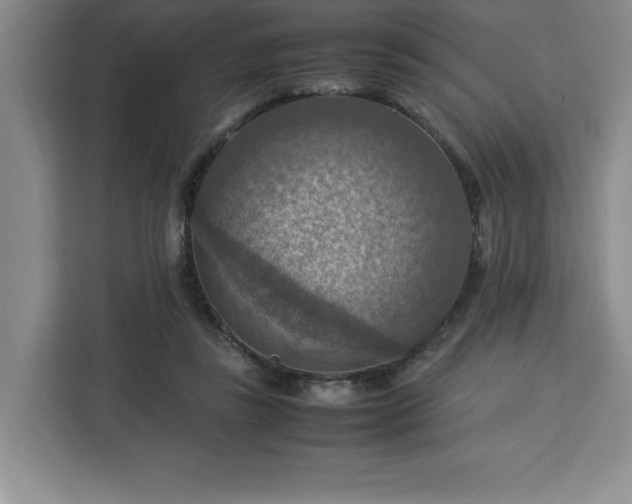 X0000112950355200908311514