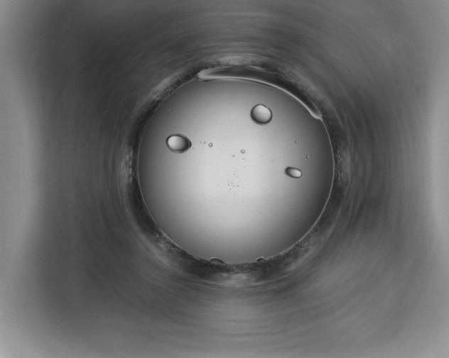 X0000112950356200908311514