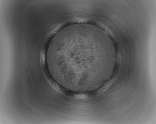 X0000112950358200908311514