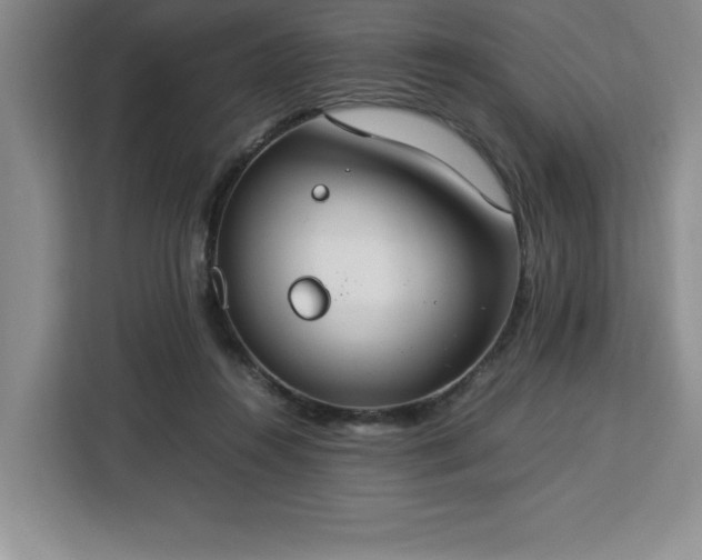 X0000112950360200908311514