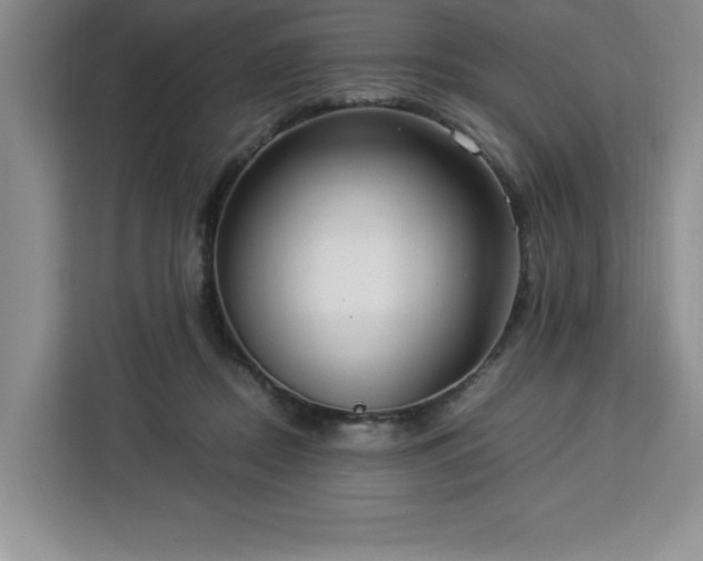 X0000112950362200908311514