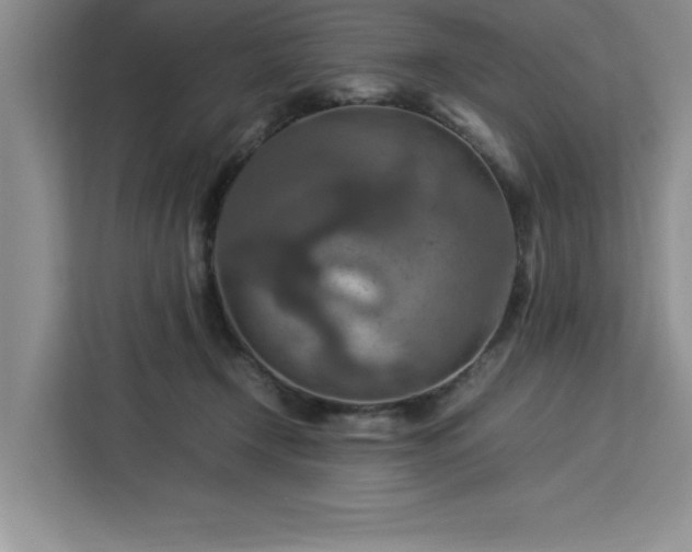 X0000112950366200908311514