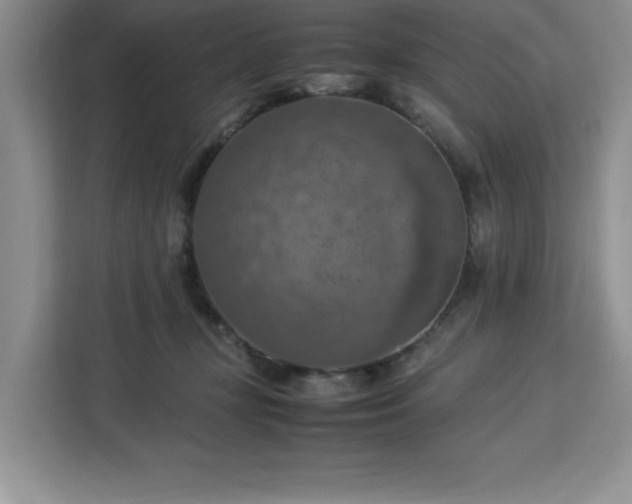 X0000112950367200908311514