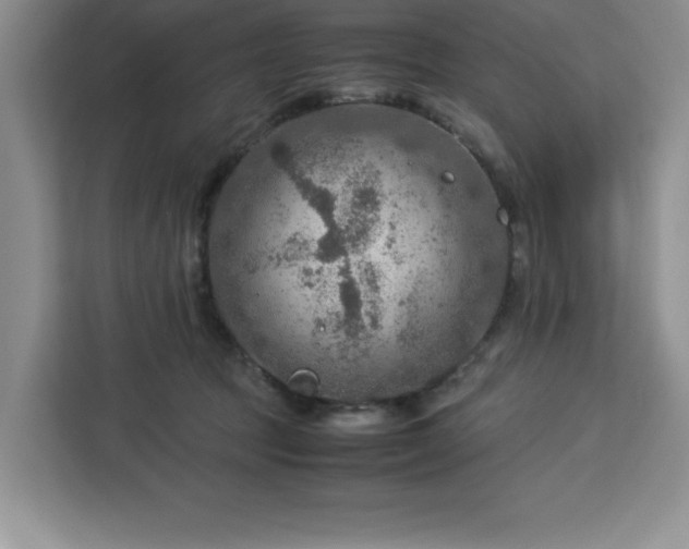 X0000112950369200908311514