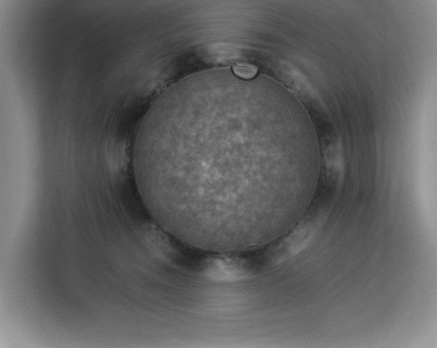 X0000112950372200908311514