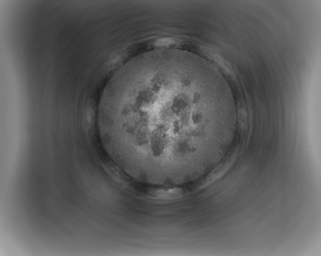 X0000112950375200908311514