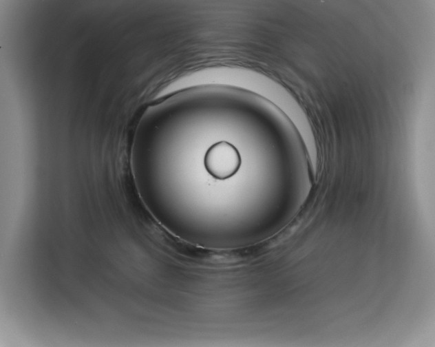 X0000112950376200908311514