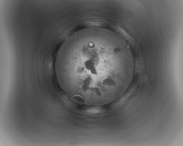 X0000112950377200908311514