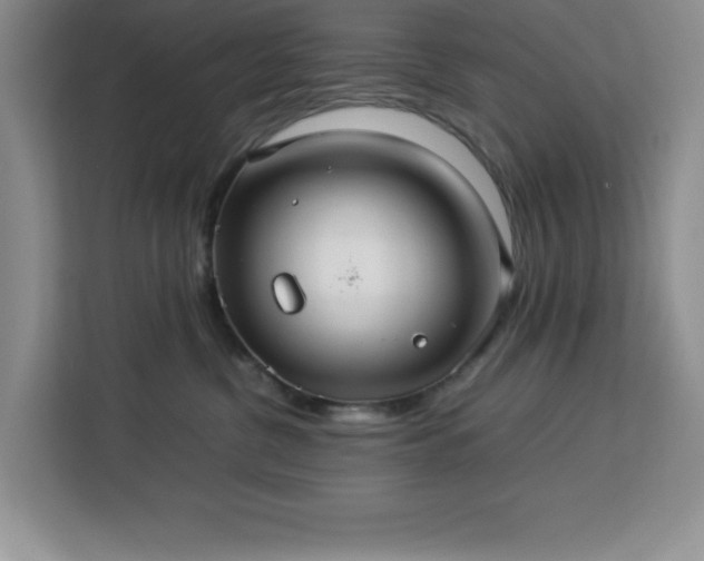 X0000112950380200908311514