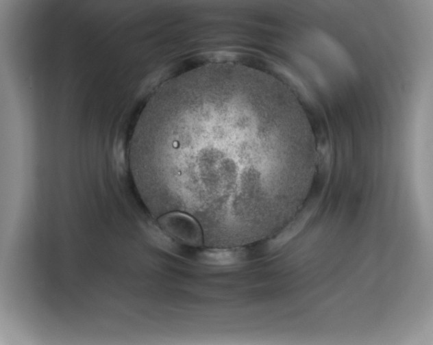 X0000112950381200908311514