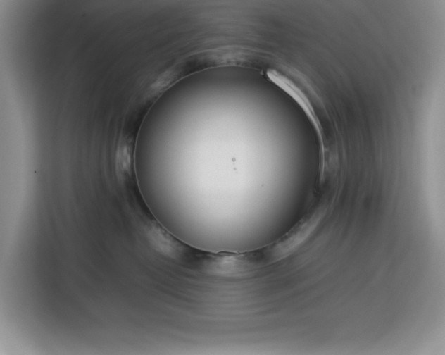 X0000112950382200908311514