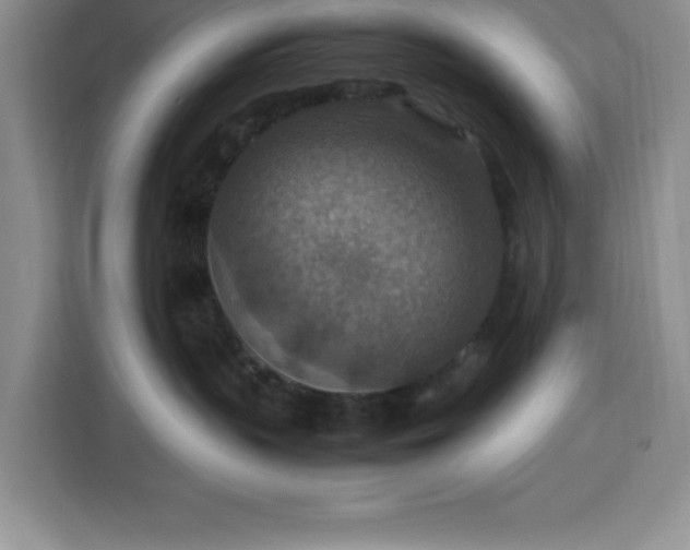 X0000112950383200908311514