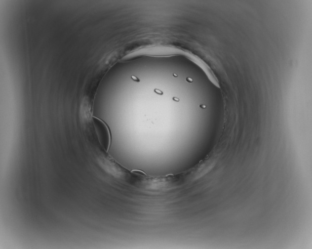 X0000112950384200908311514