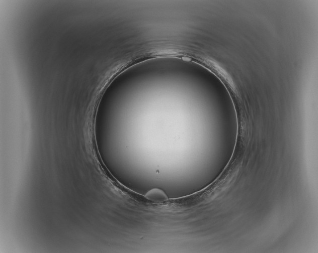 X0000112950385200908311514