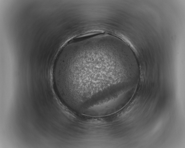 X0000112950386200908311514