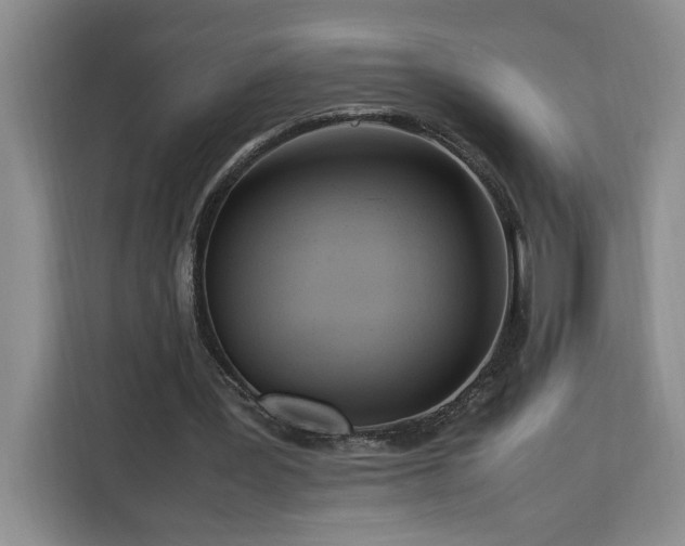 X0000112950387200908311514