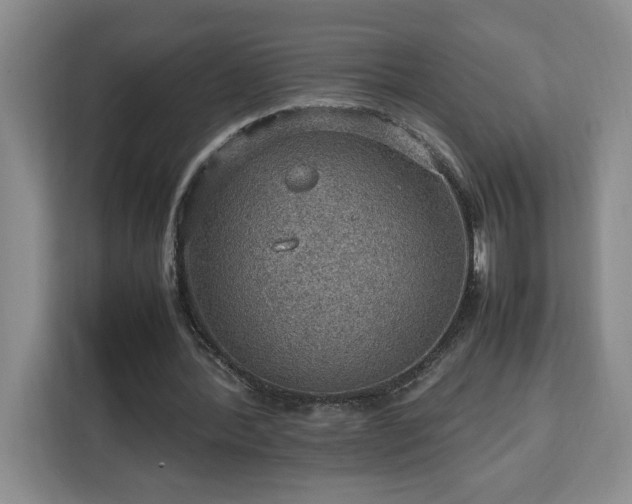 X0000112950388200908311514