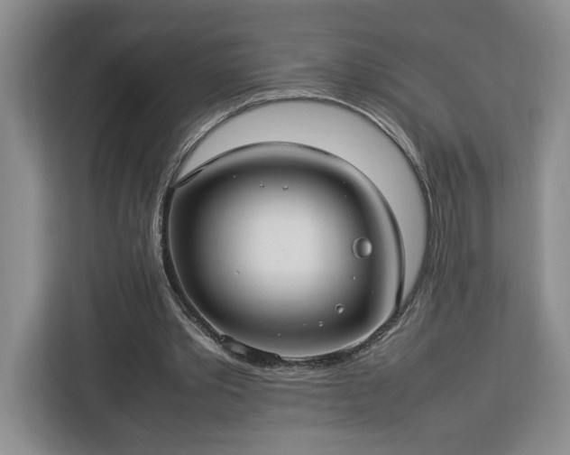 X0000112950389200908311514