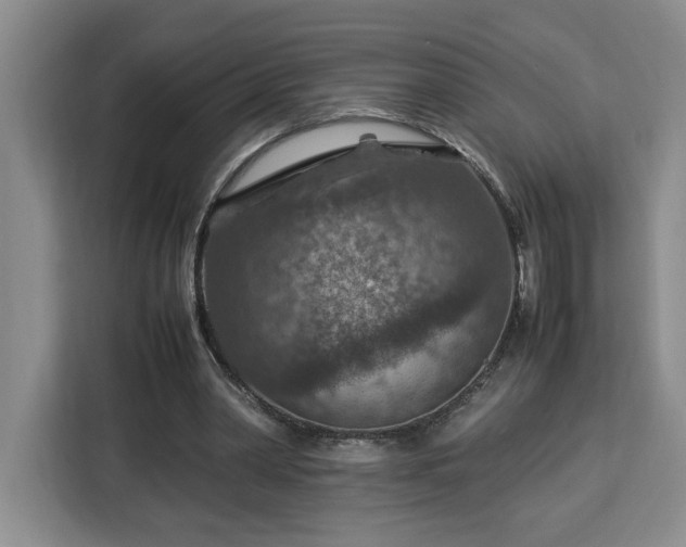 X0000112950390200908311513