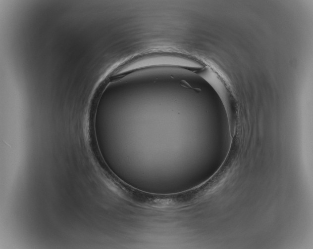 X0000112950391200908311513