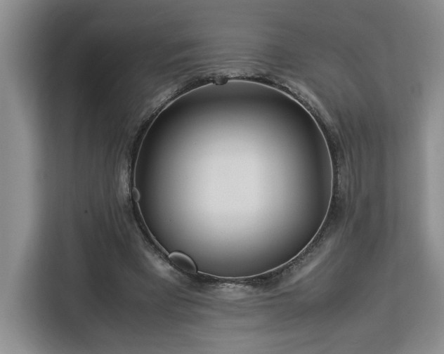 X0000112950393200908311513