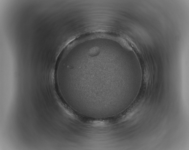 X0000112950394200908311513