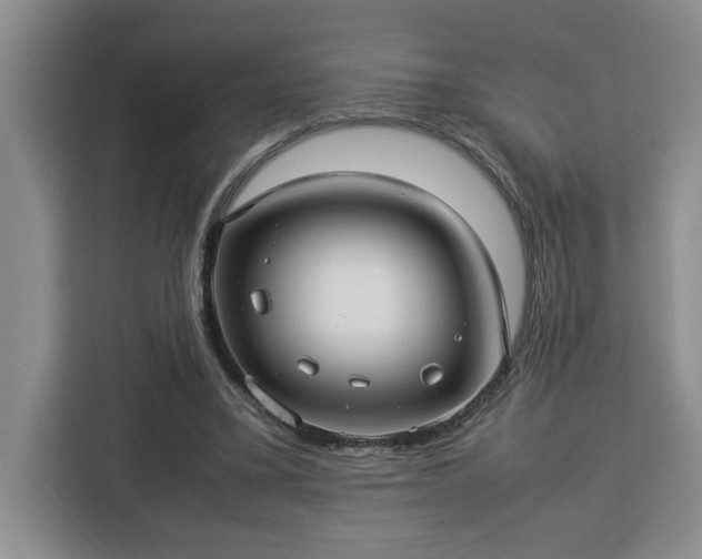 X0000112950395200908311513