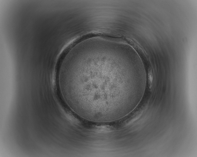 X0000112950396200908311513