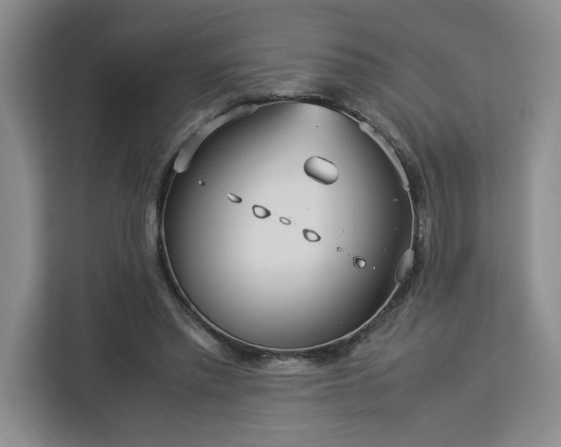 X0000112950397200908311513