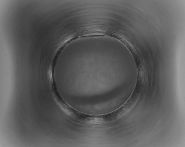 X0000112950398200908311513