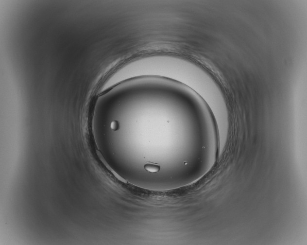 X0000112950399200908311513