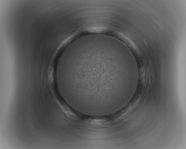 X0000112950400200908311513