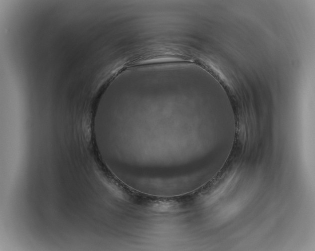 X0000112950402200908311513