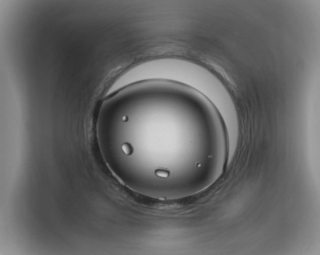 X0000112950403200908311513