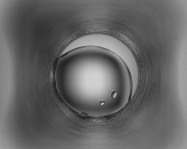 X0000112950405200908311513