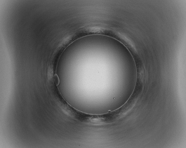 X0000112950407200908311513