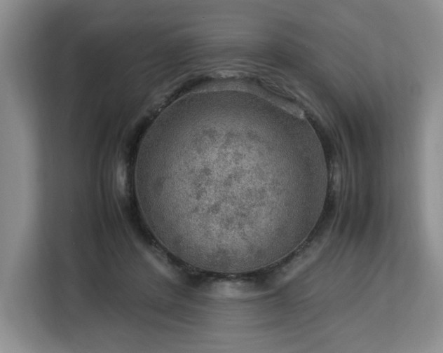 X0000112950408200908311513