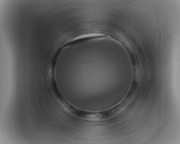 X0000112950410200908311513